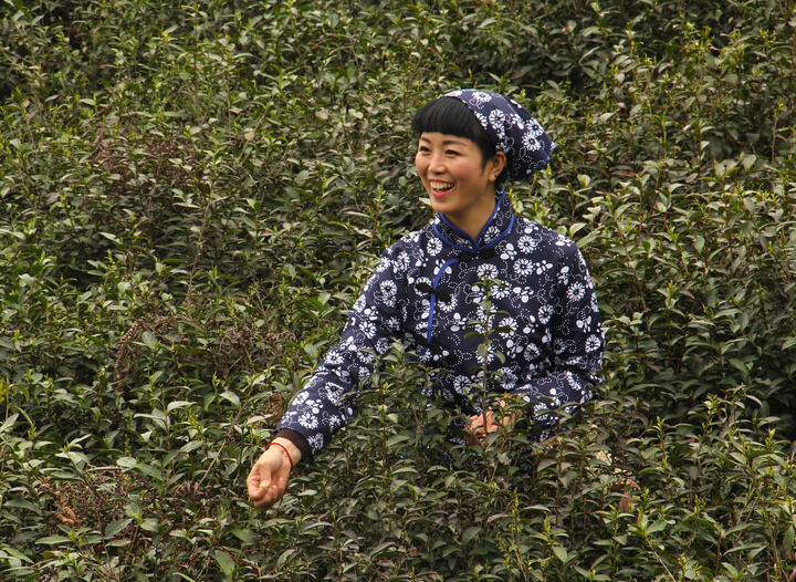 152网主 红色幕布